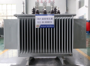 公安10kV油浸变压器S11-M-800KVA